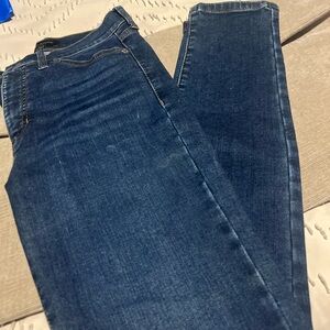 Banana Republic Blue Denim Universal Jean